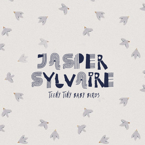 70hinese浓毛老太HD
