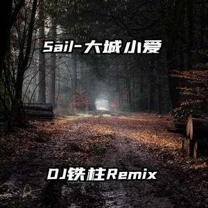 70hinese浓毛老太HD
